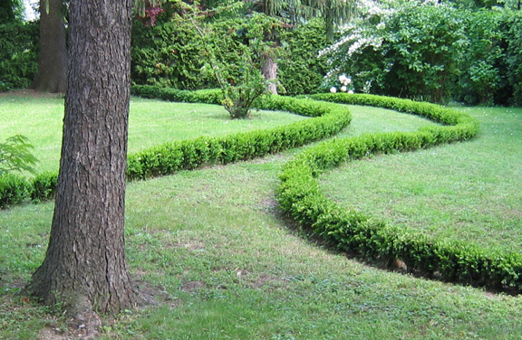 Garten mit Zierhecken