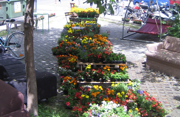 Plückblumen und Sitzgelegenheiten