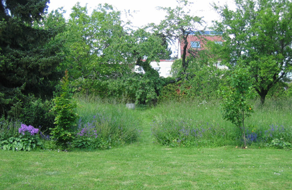 Garten mit kurzem Rasen und hohem Gras