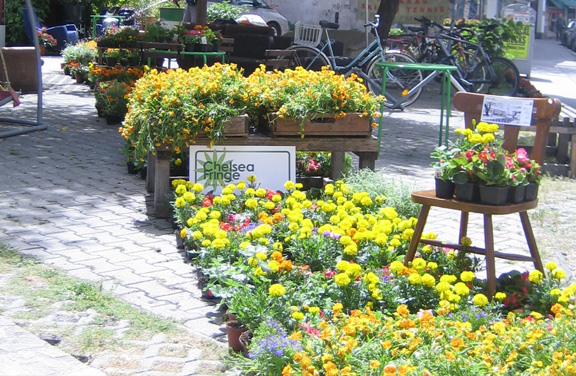 Plückblumen und Festivalbanner