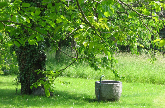 Brunnen unter Baum